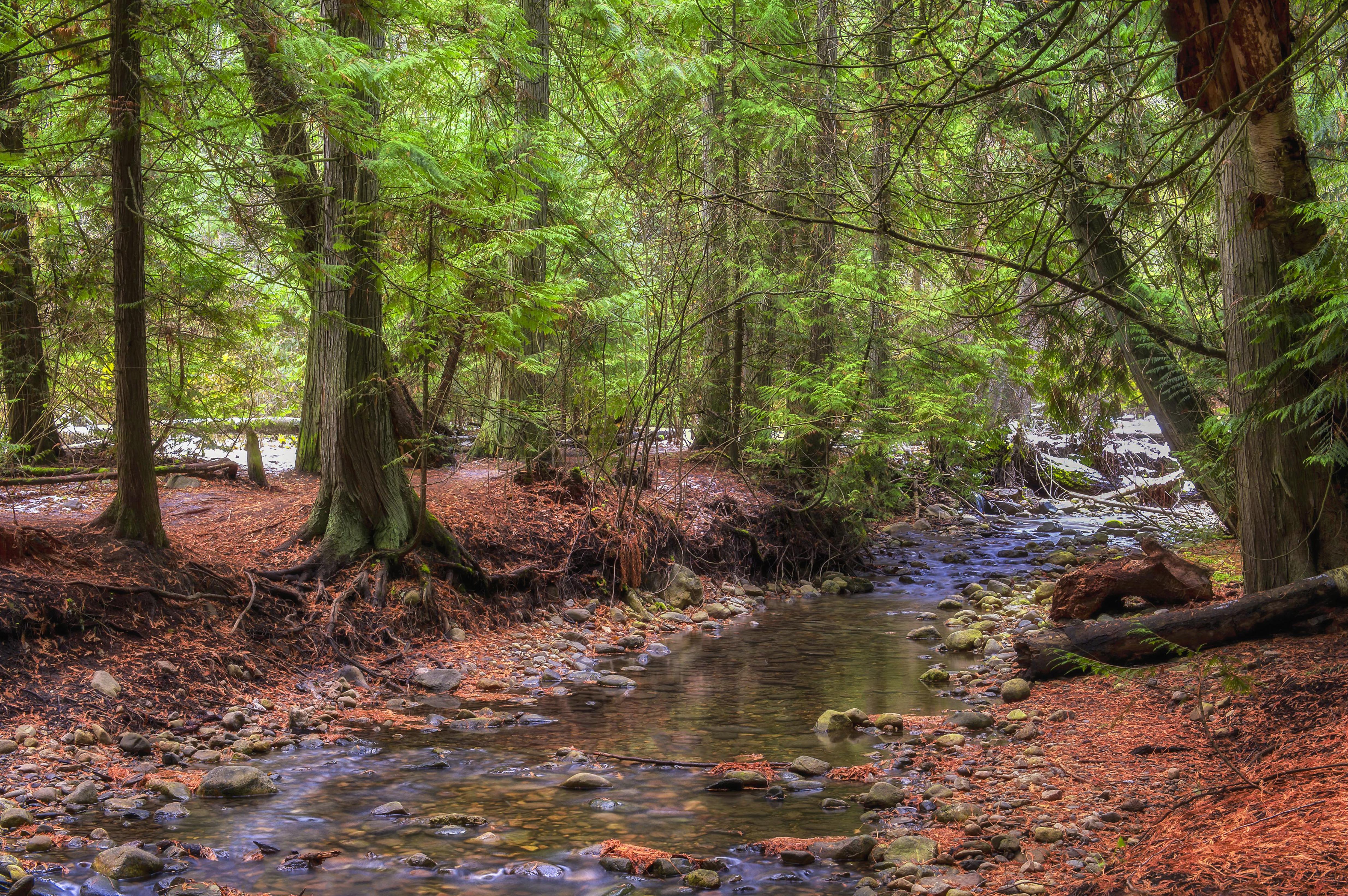 Tranquillity